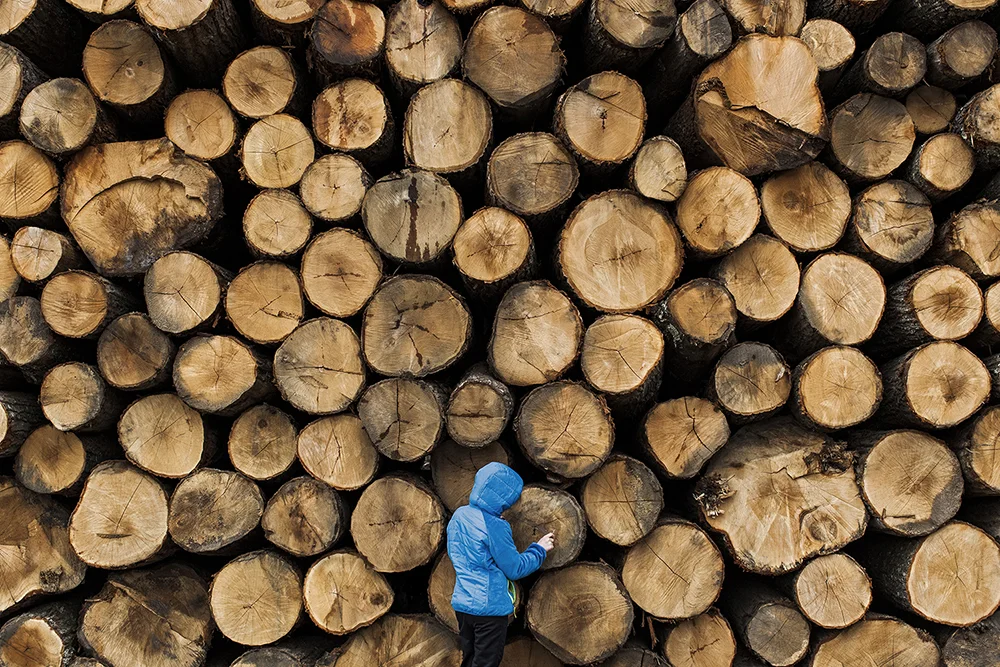 Lumberjack