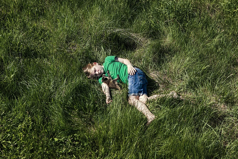 As Long As The Grass Shall Grow