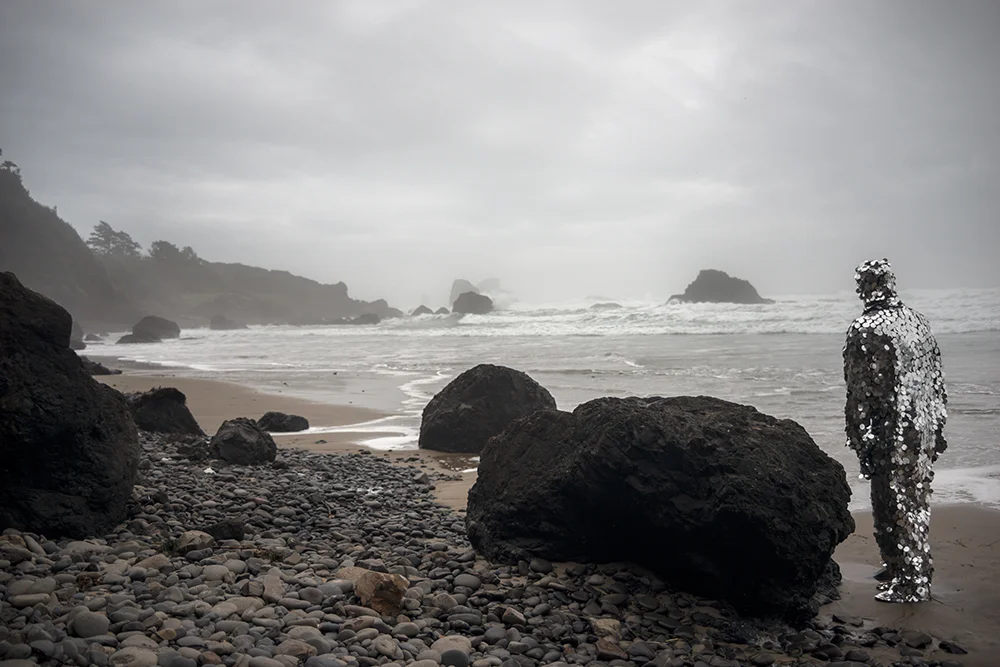 Oscillator in Ecola State Park (2014)