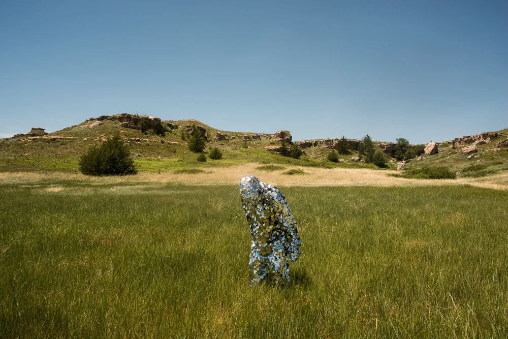 Oscillator in Scott State Park (2015)