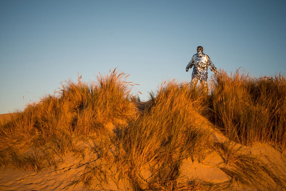 Oscillator in Oceano Dunes SVRA (2015)