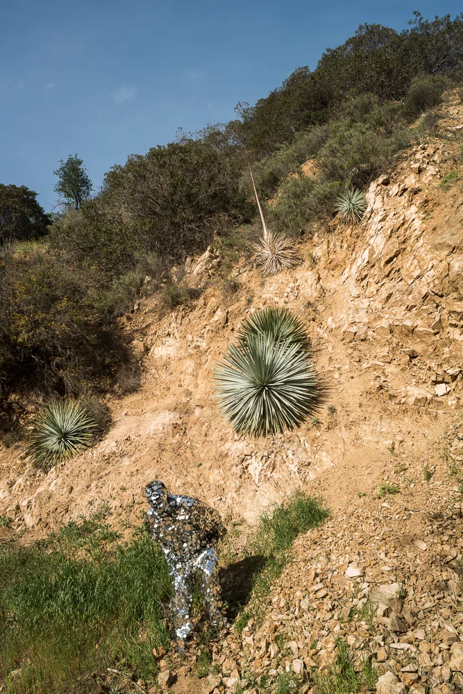 Oscillator in Claremont Hills Park (2015)