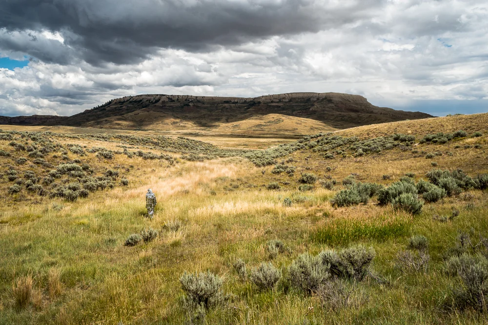 Oscillator in Fossil Butte National Monument (2015)