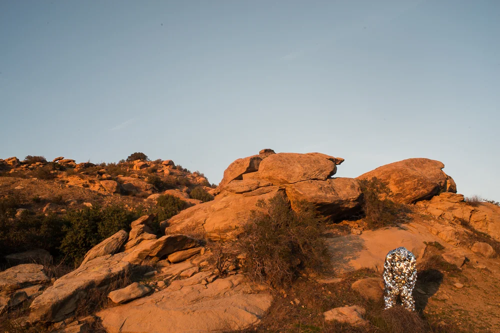 Oscillator in Rocky Peak Park (2015)