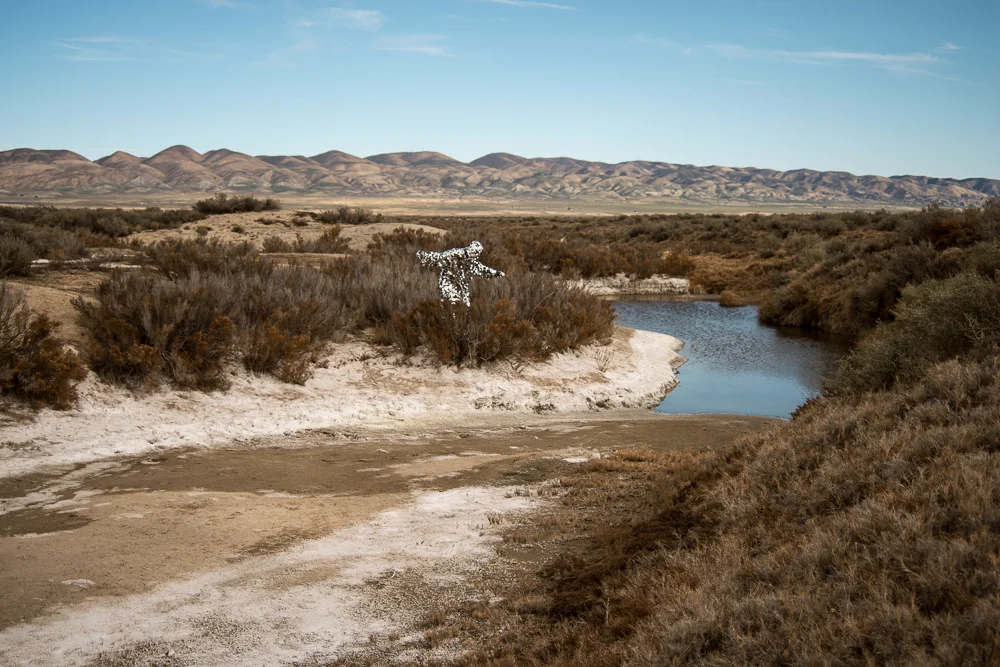 Oscillator in Carrizo Plains National Monument (2015)