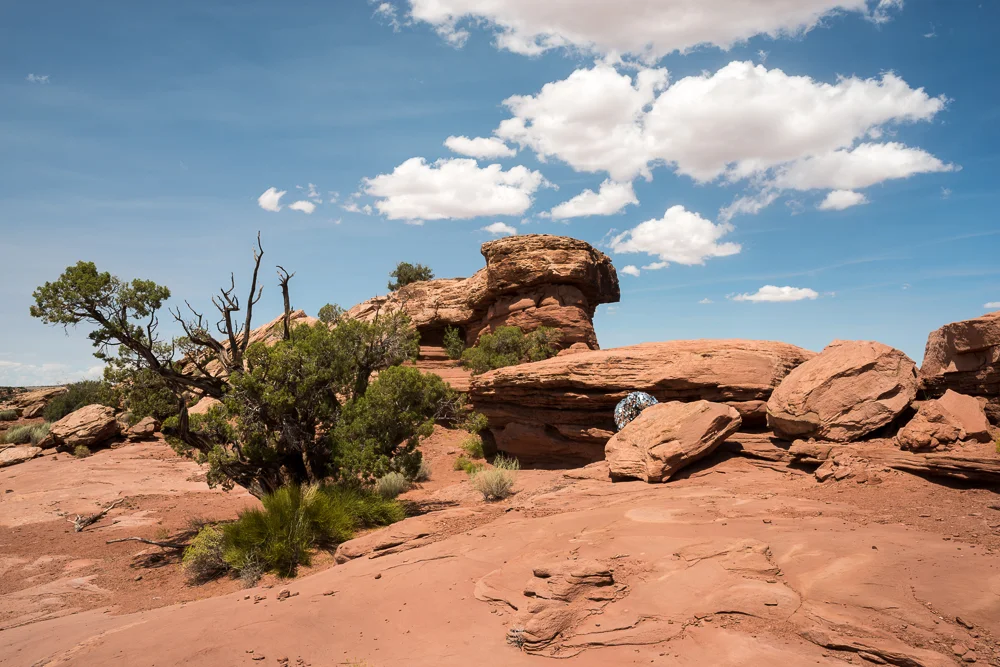 Oscillator in Dead Horse Point State Park (2015)