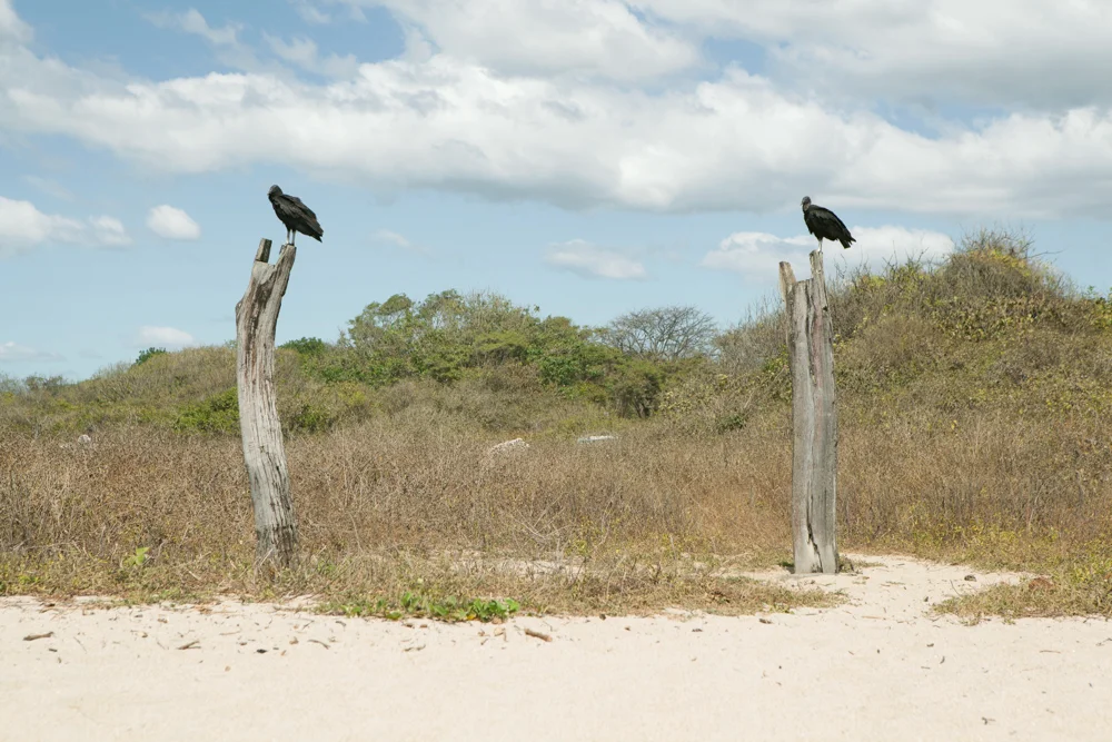 ASHINAGA TENAGA: A Pair of Characters, One With Long Legs and the Other With Long Arms