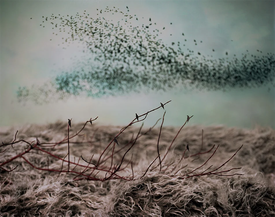 Passenger Pigeons