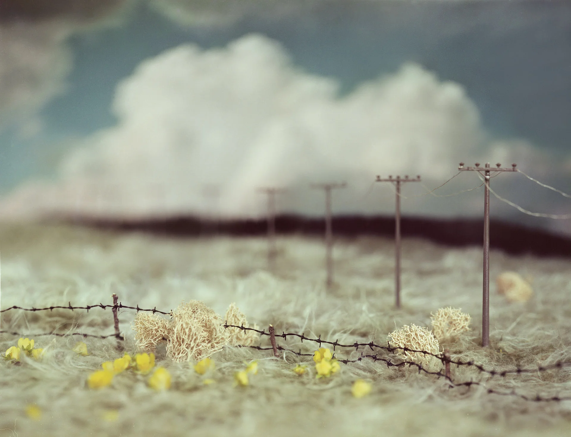 Telephone Line