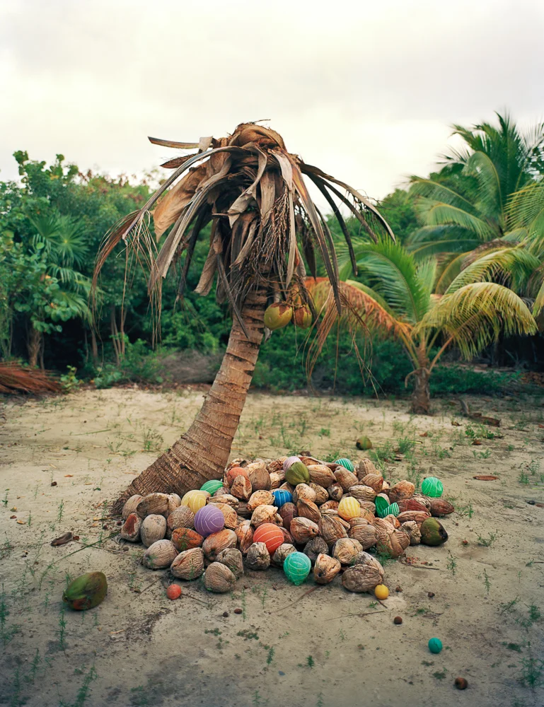 Cocos