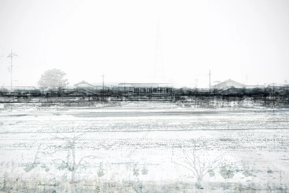 Fukui, Fukui, 2016