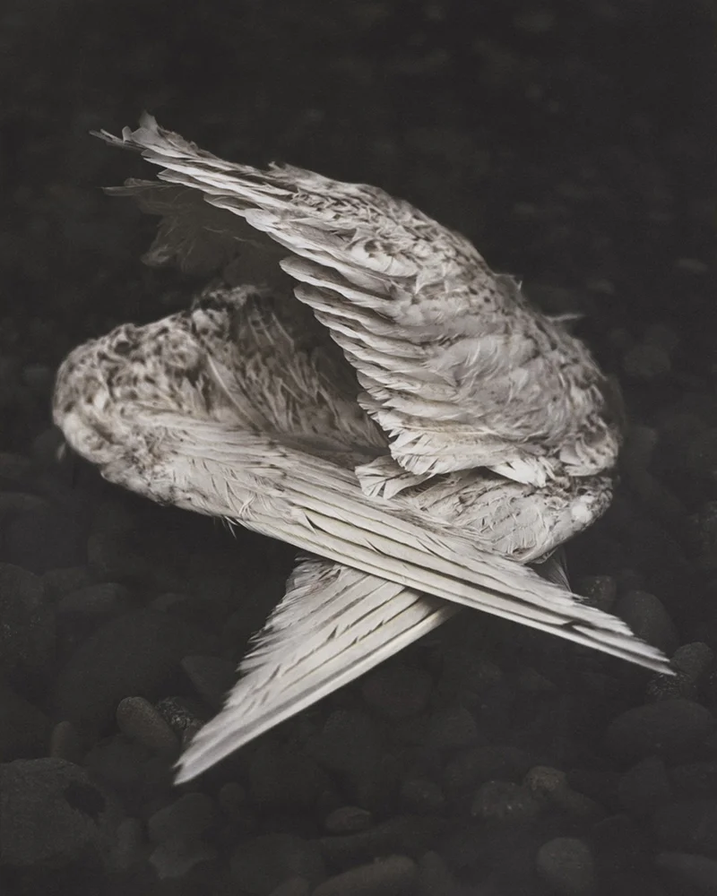 Memento Mori