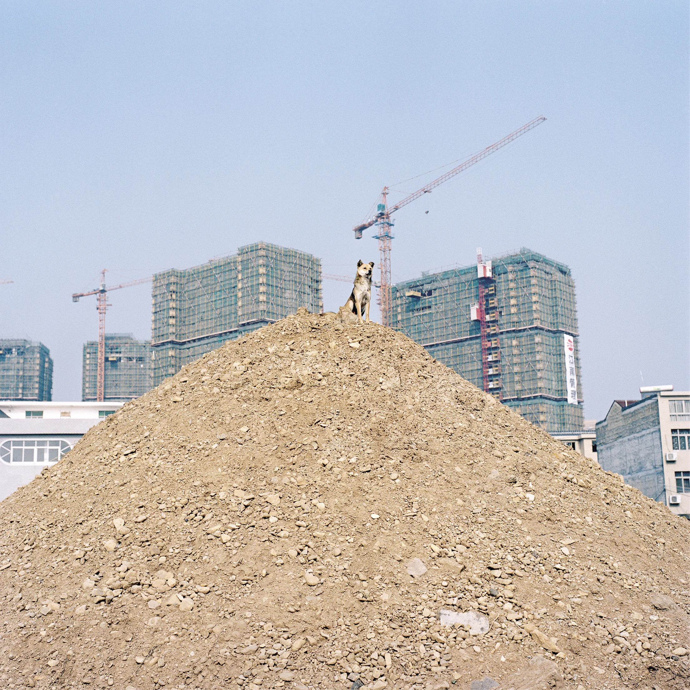The village where Yuan lives is undergoing major renovations, and due to limited space Yuan has had to stop building airplanes. His village is packed with tall buildings and telegraph poles – too dangerous for test flights.