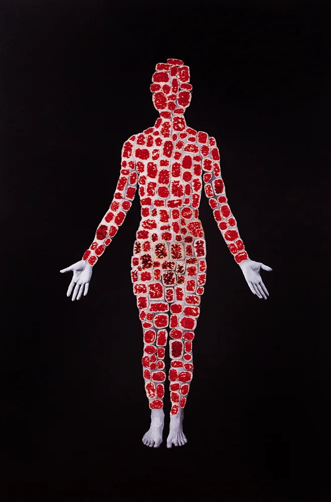 Celulas Madres, 2015-2016 Archival pigment print, gesso and cotton-hemp thread 82 x 55 inches, Unique
