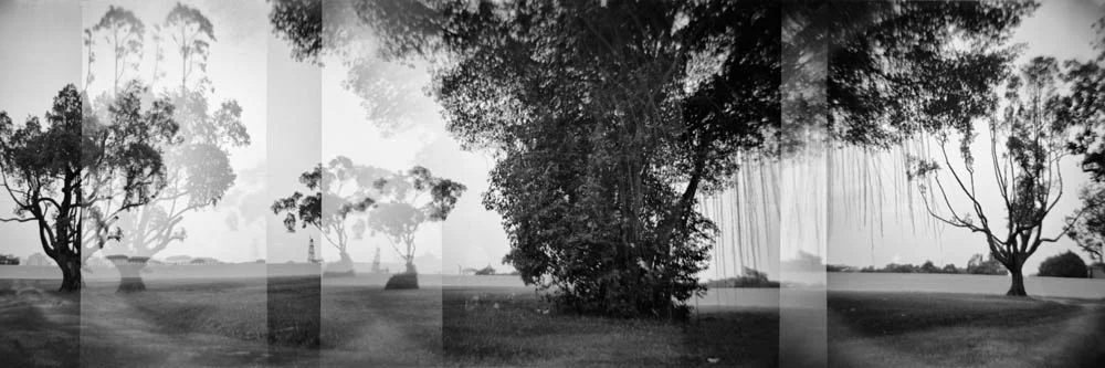 The Banyan Tree