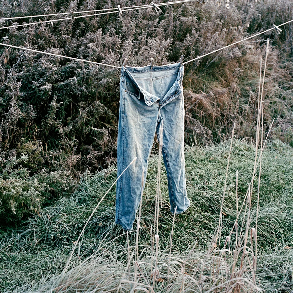 Frozen Jeans