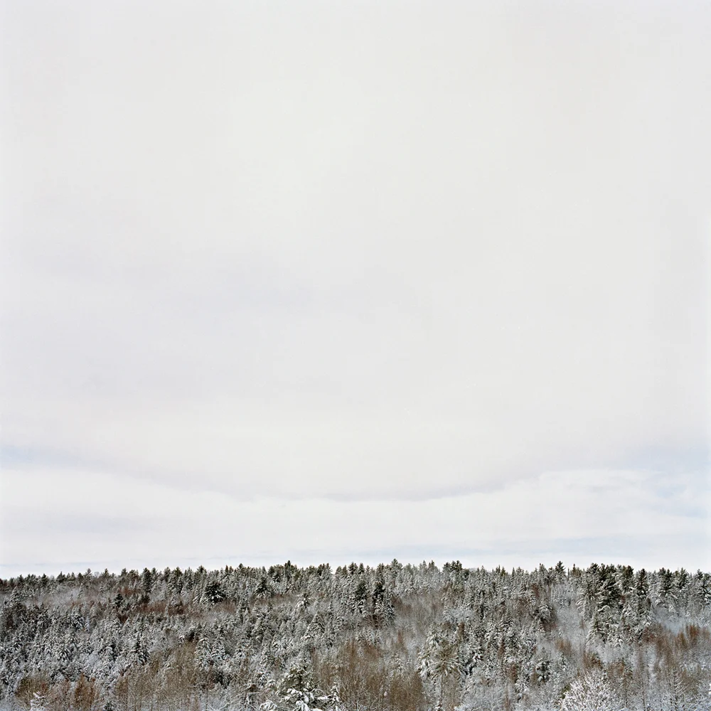 The Ridge