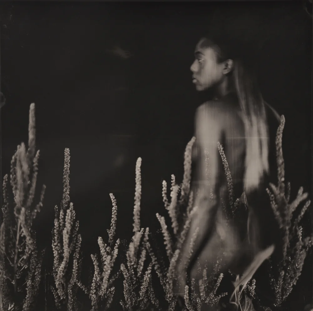 Untitled #19 Two Ambrotypes