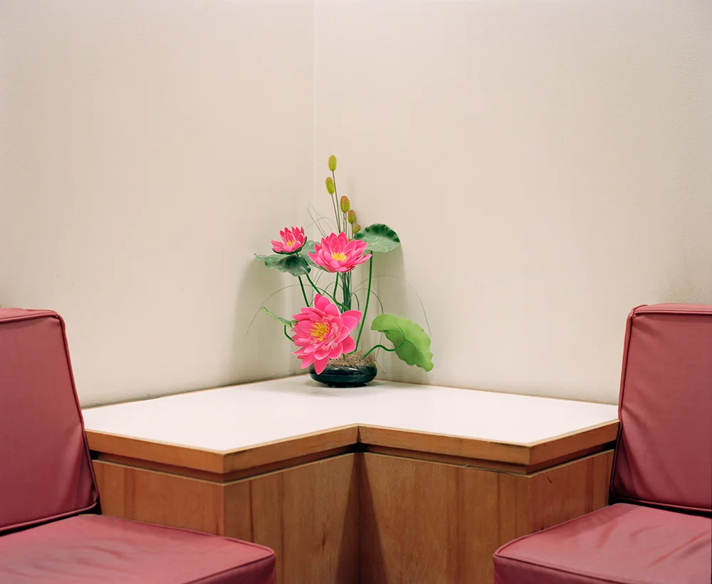 Plastic Pink, New York, 2013