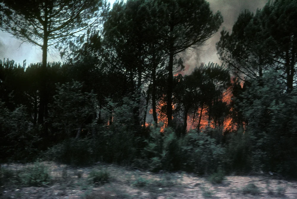 Fire, Unknown, 2013