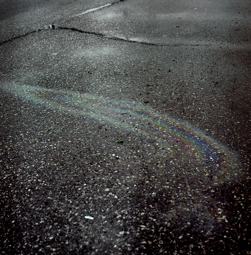 08.Kees Muizelaar_series GONE.jpg