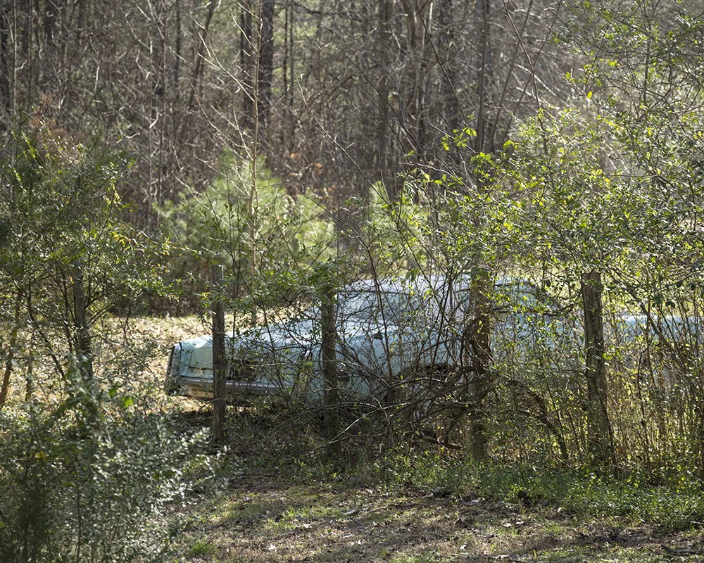 Hidden