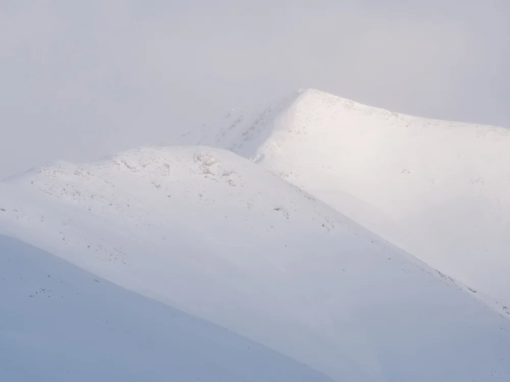 Grizzly Peak, Front Range, Colorado