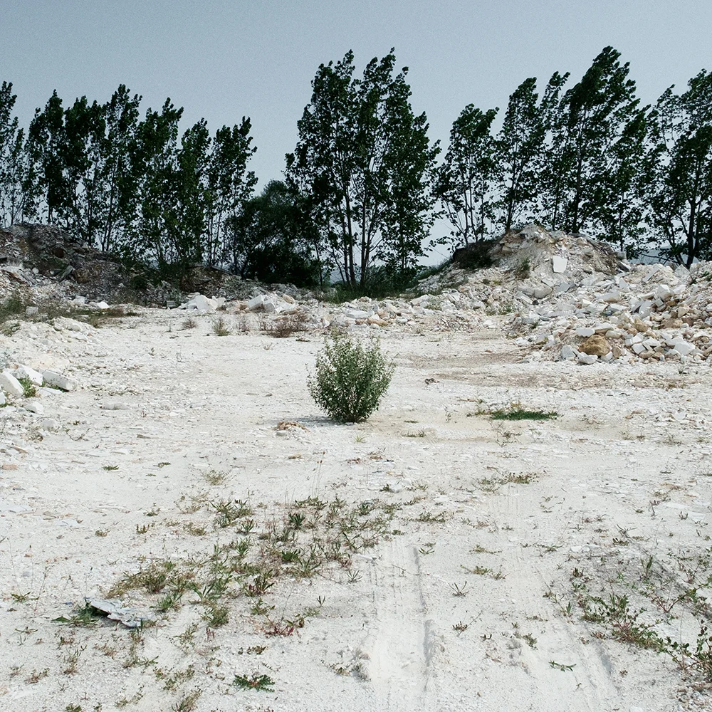 02-MICHAILIDIS.jpg