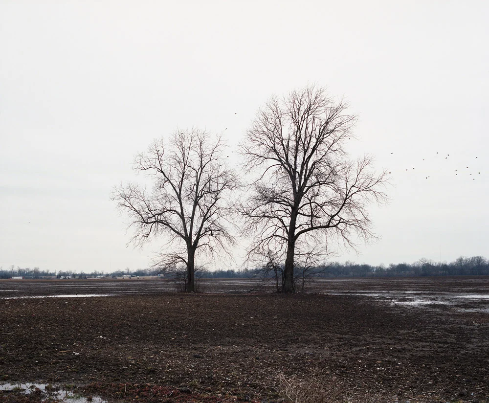 Just past the Mississippi River, Arkansas