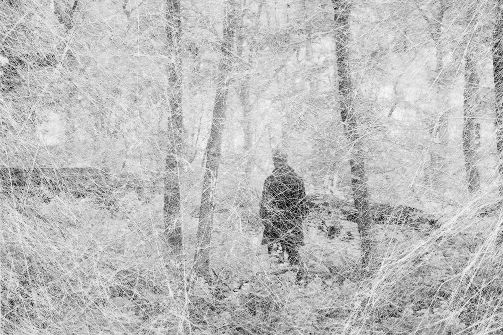 08_HERMIT_IN_WEB∏AmaniWillett_1000.jpg