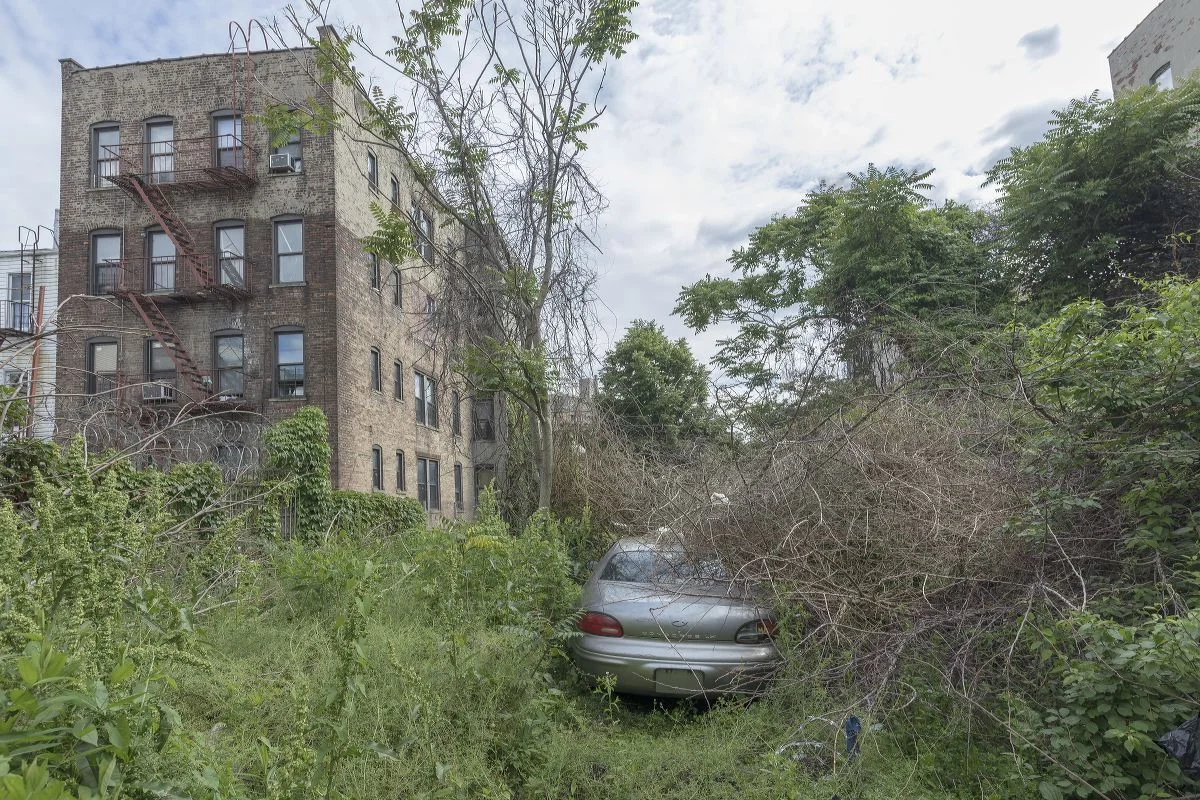 Call in Brush, South Bronx