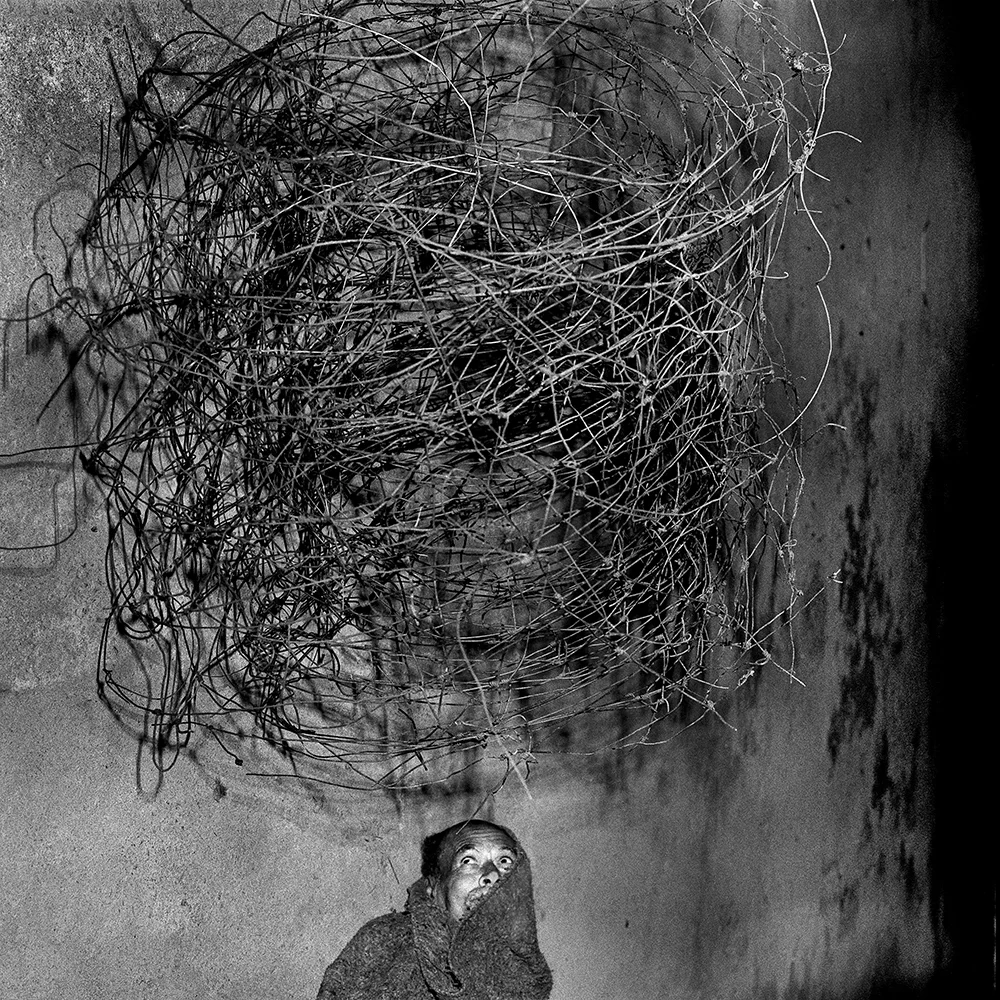 Twirling Wires, 2001