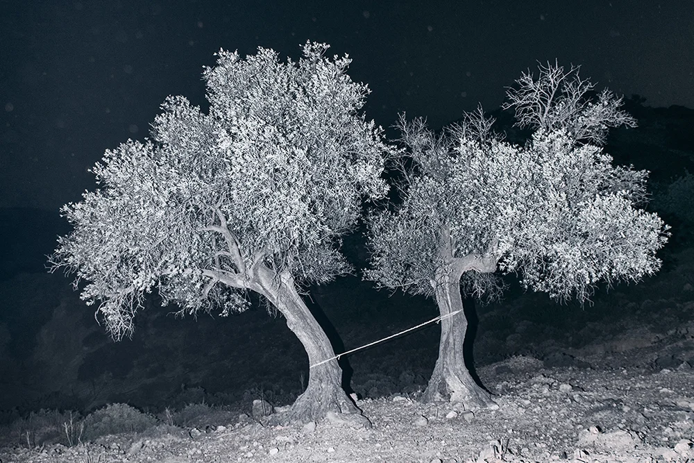 06-yatromanolakis.jpg