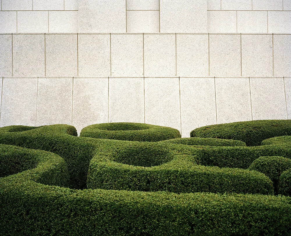 Shrub Waves - Ushiku 2015