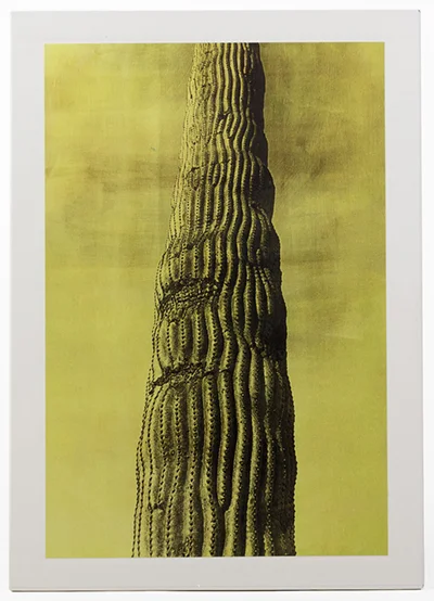 Desert_Cover3-small.jpg
