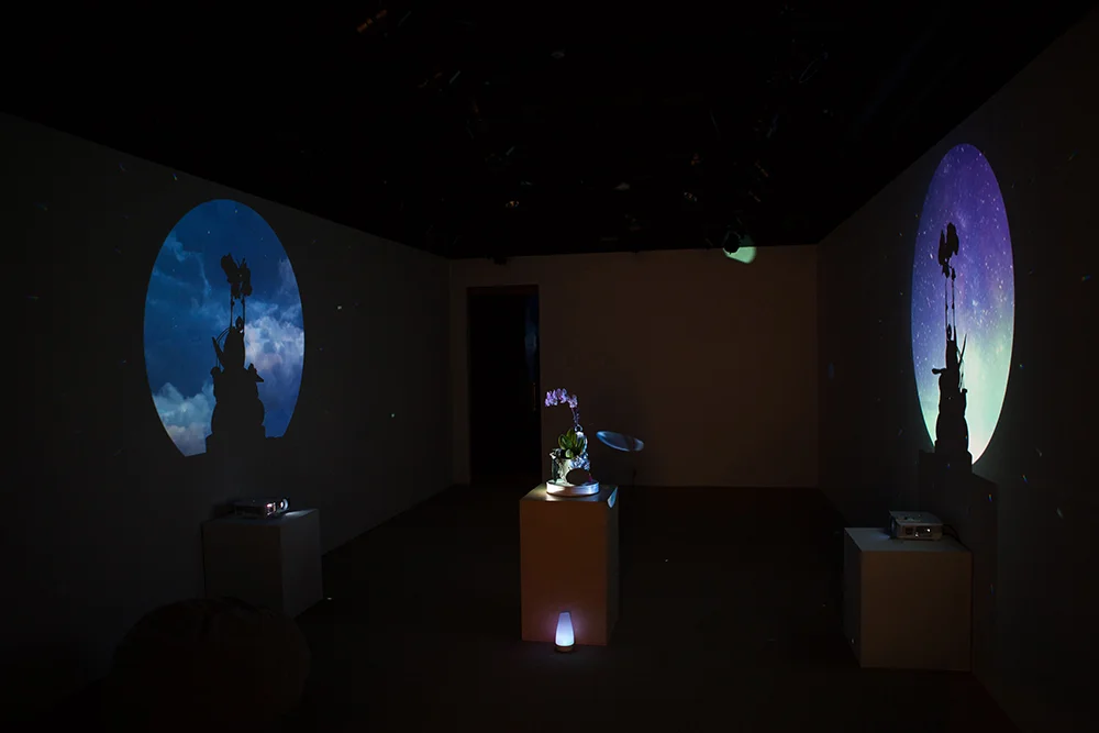 Installation of Mirror/Cosmic