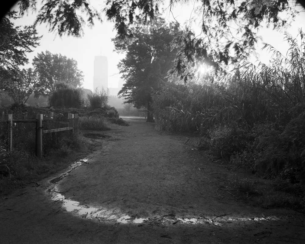 Entering Fenway Victory Gardens