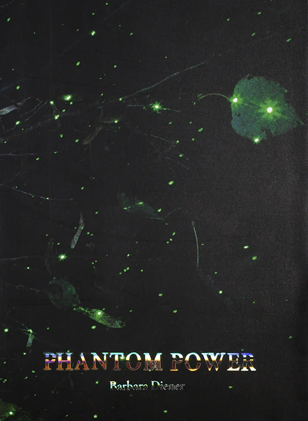 0 phantom power Cover.jpg