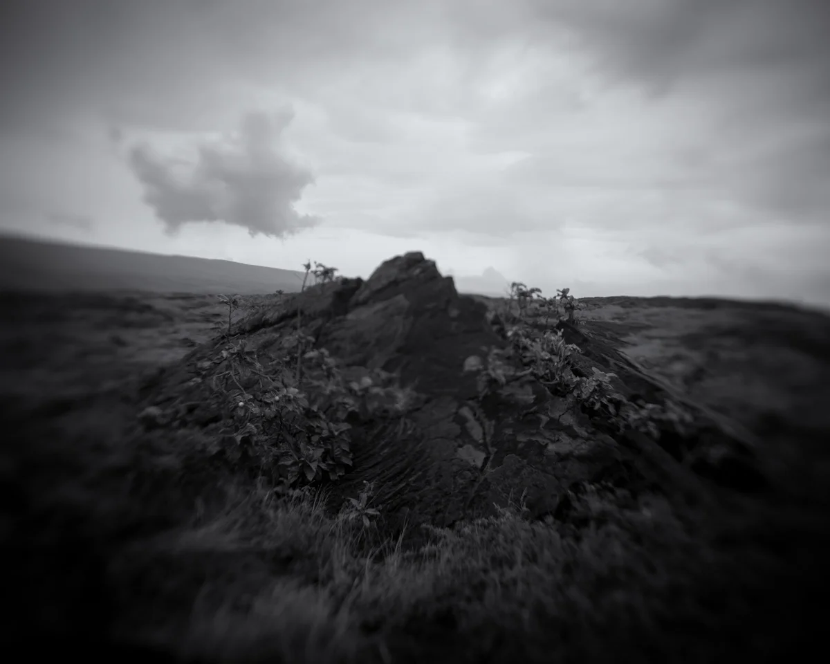 003_Greenberg_Untitled_0860.jpg
