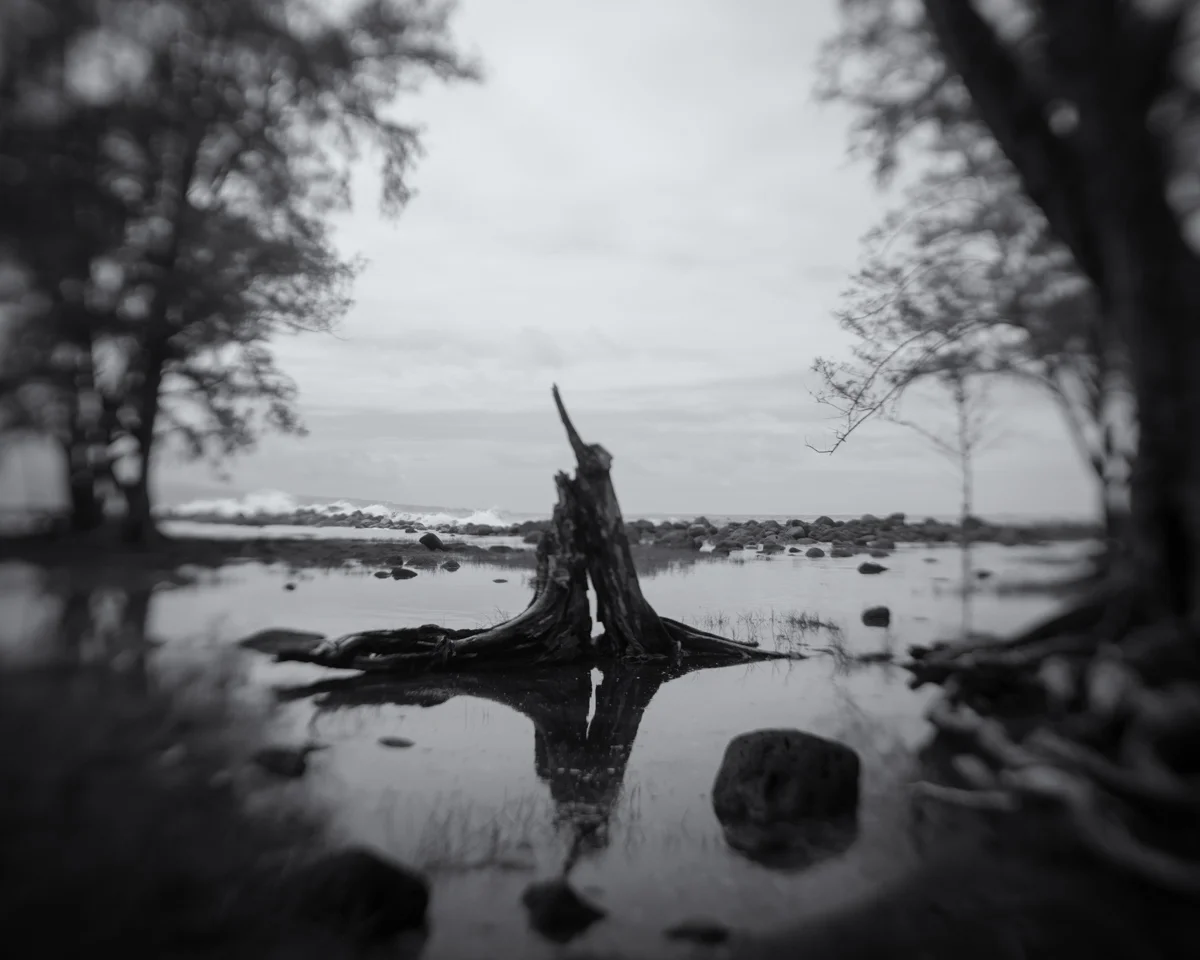 006_Greenberg_Untitled_0100.jpg