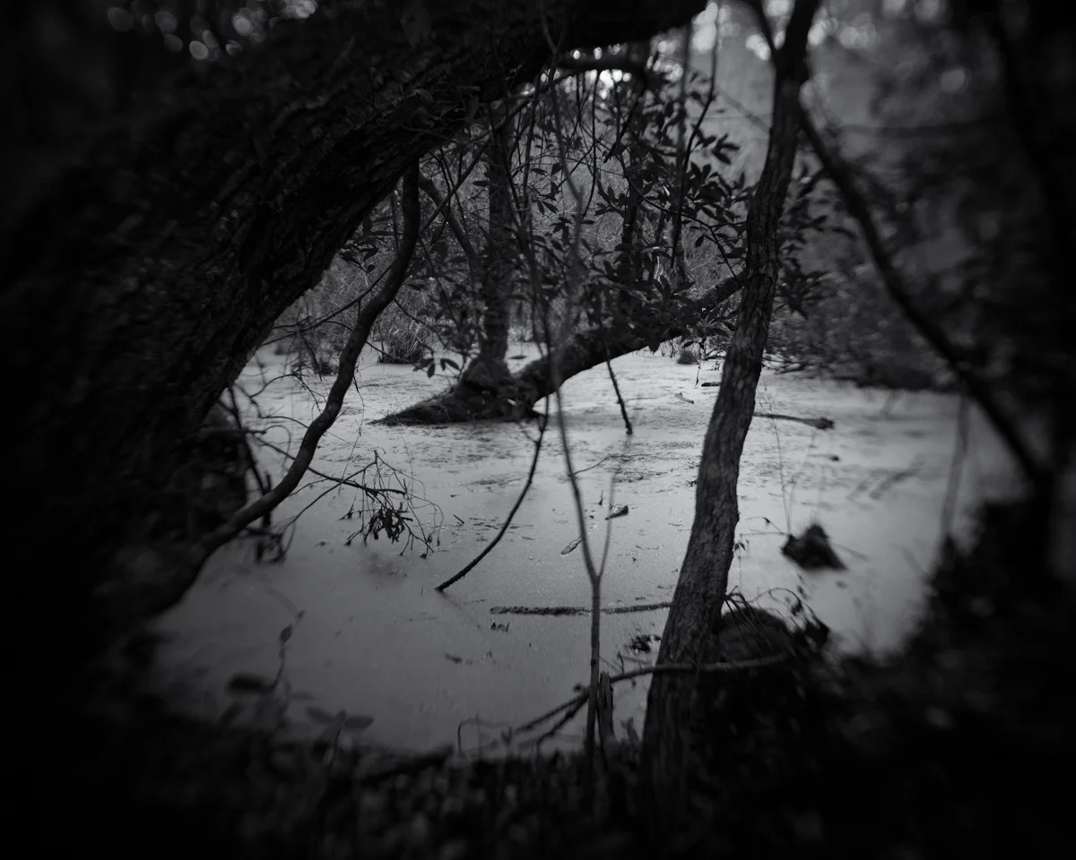 008_Greenberg_Untitled_1319.jpg