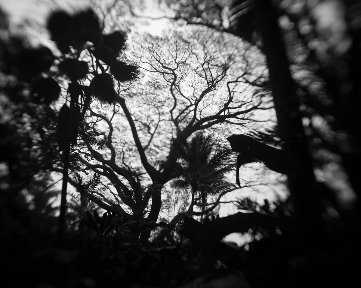 009_Greenberg_Untitled_1054.jpg
