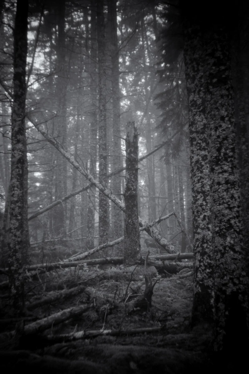 011_Greenberg_Untitled_0047.jpg