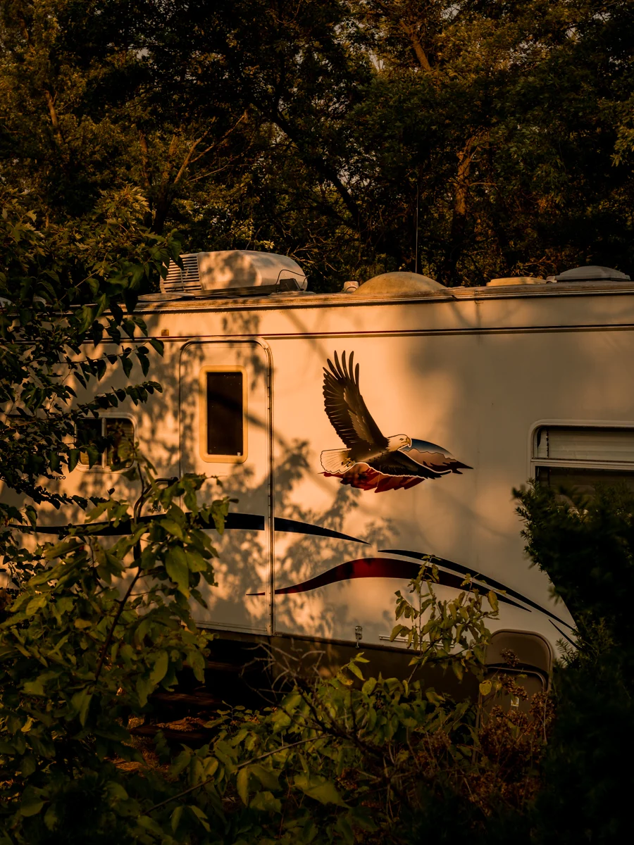 Love to Fly