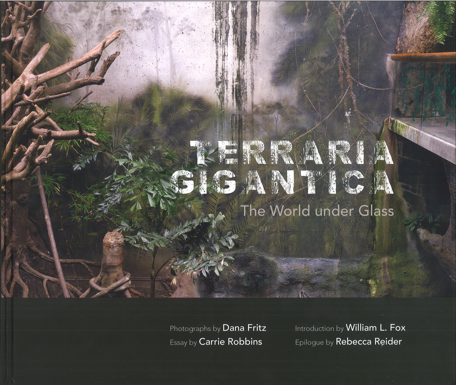 Terraria Gigantica – Dana Fritz