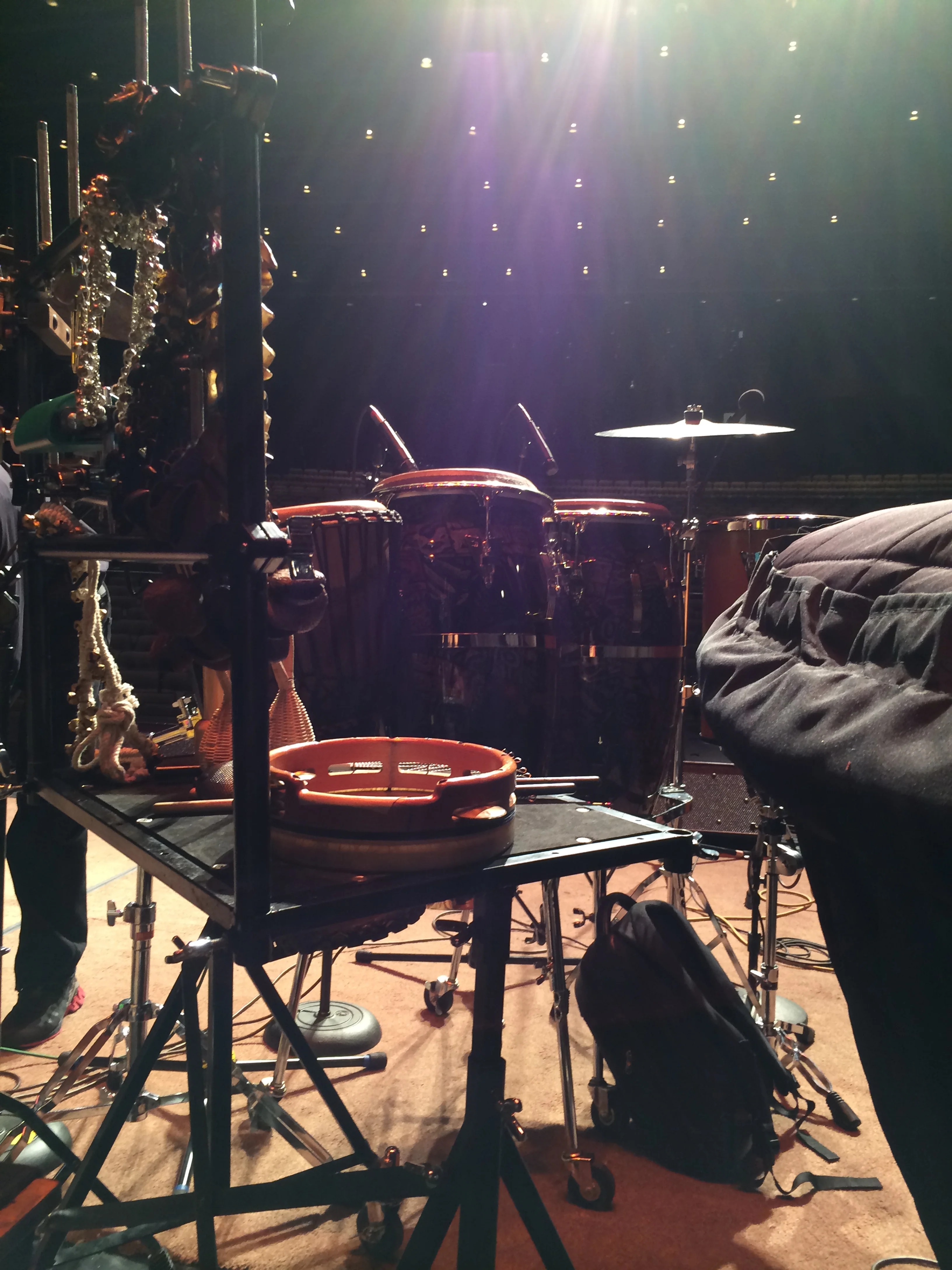 Angelique Kidjo February 2014