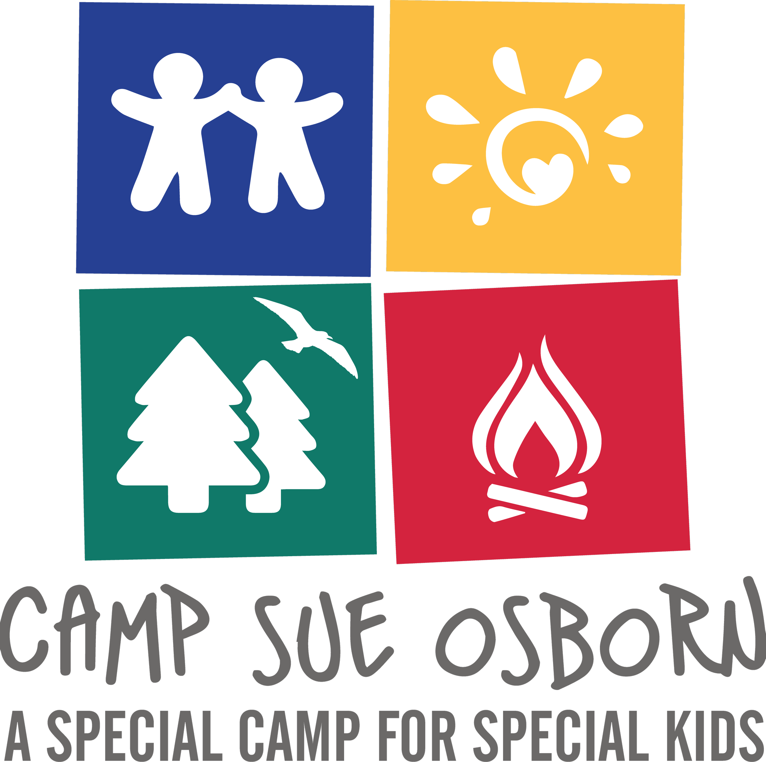 CSO Logo with Seagull.png