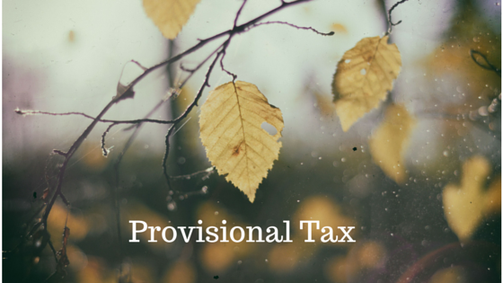 Starting Out: How Provisional Tax Works in New Zealand