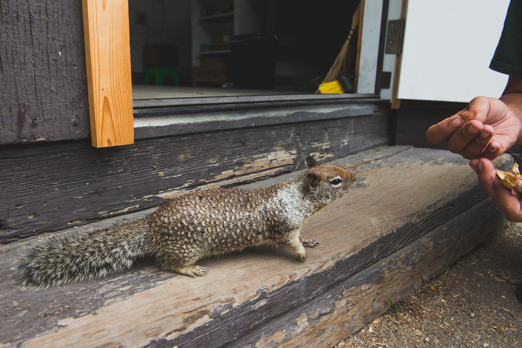 Making new friends 