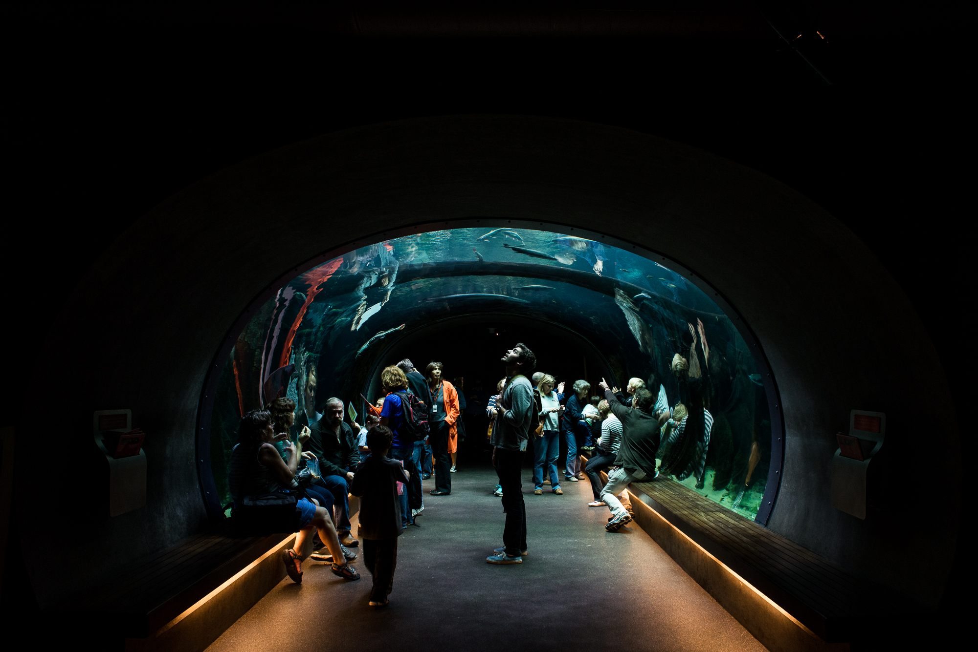 California Academy of Sciences